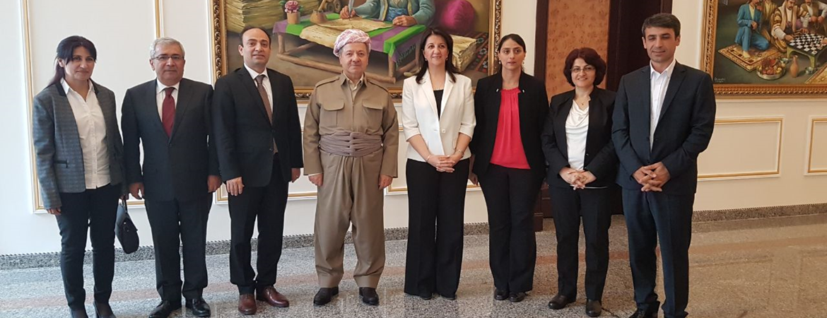Co-Chair Buldan met with Mr. Mesud Barzani