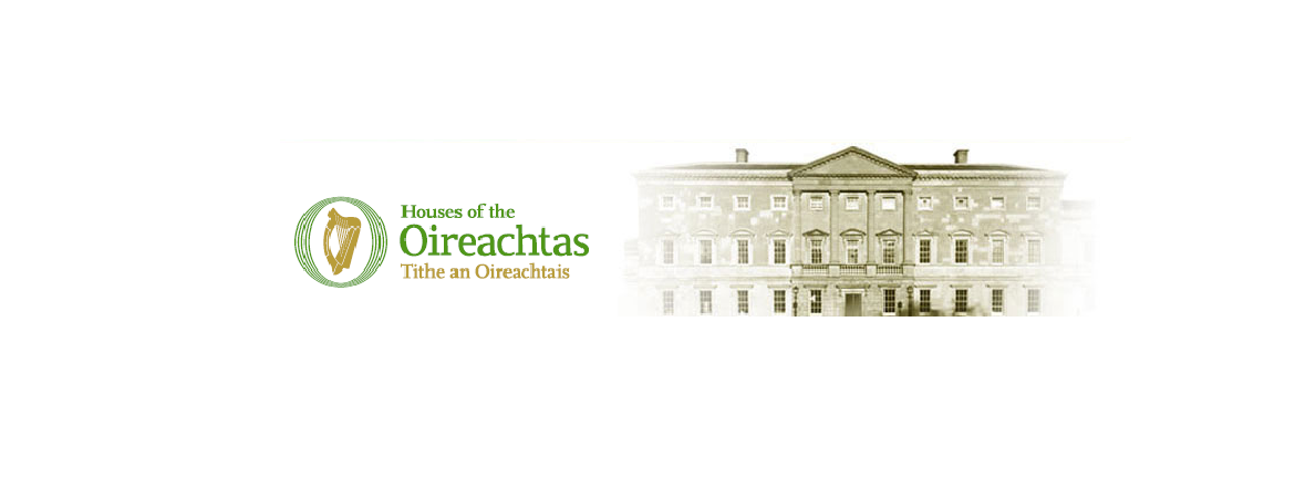 Sinn Féins Seán Crowe to the deputy head of government of Ireland: How do you view the imprisonment of Demirtaş and the other HDP members?