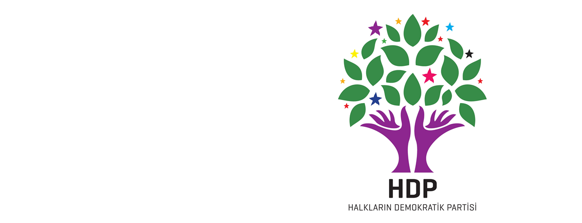 The information file on Legal and Prison Conditions of HDP Co-chairs and deputies