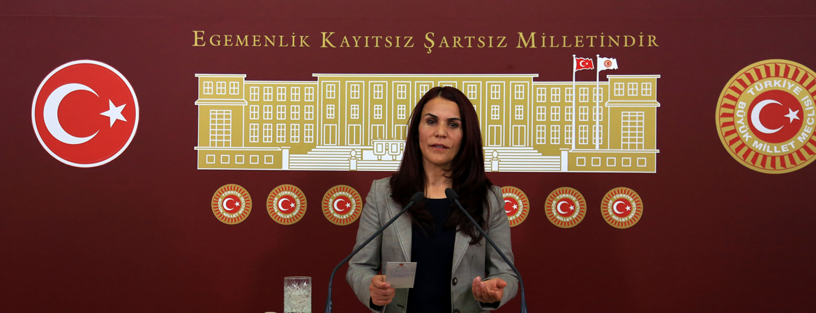 HDP Women’s Assembly Spokesperson and Siirt MP Besime Konca Arrested Once Again