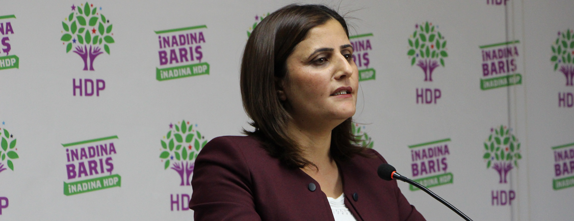 HDP Kadın Meclisi Sözcümüz  Taşdemir: Kadınlara ev ev Hayırı anlatacağız