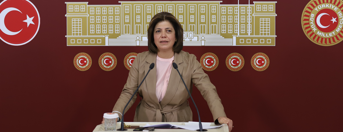 Beştaş: AKP’nin reform söylemleri aldatmacadır, söylediklerine değil yaptıklarına bakarız