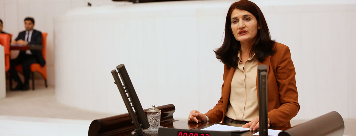 HDP MP Semra Güzel has been deprived of her seat in the Turkish parliament