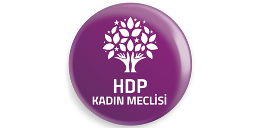 AKP-MHP Koalisyonunun Saldırılarına Daha Güçlü Bir Kadın Özgürlük Mücadelesi İle Yanıt Vereceğiz!