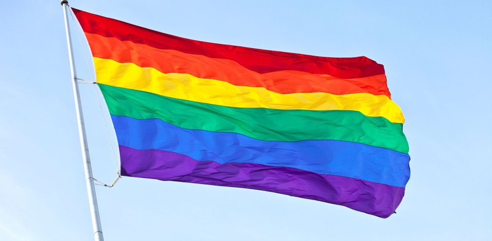 Mersindeki LGBTİlerden Demirtaşa destek