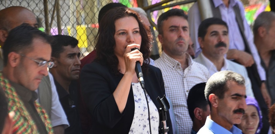 Irmak: Botan halkı sistemin ve AKP hükümetinin önünde set olacak