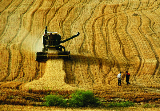 Tarım çökertiliyor, çiftçiler yoksullaştırılıyor