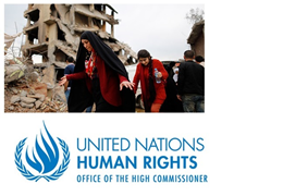 UN report details massive destruction and serious rights violations in southeast Turkey