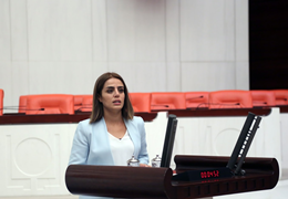 HDP MP Başarans question proposal to Binali Yıldırım regarding the problems of foreign press members