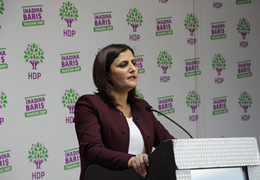 HDP Kadın Meclisi Sözcümüz  Taşdemir: Kadınlara ev ev Hayırı anlatacağız