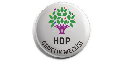 HDP Gençlik Meclisi 3. Olağan Konferans Sonuç Bildirgesi