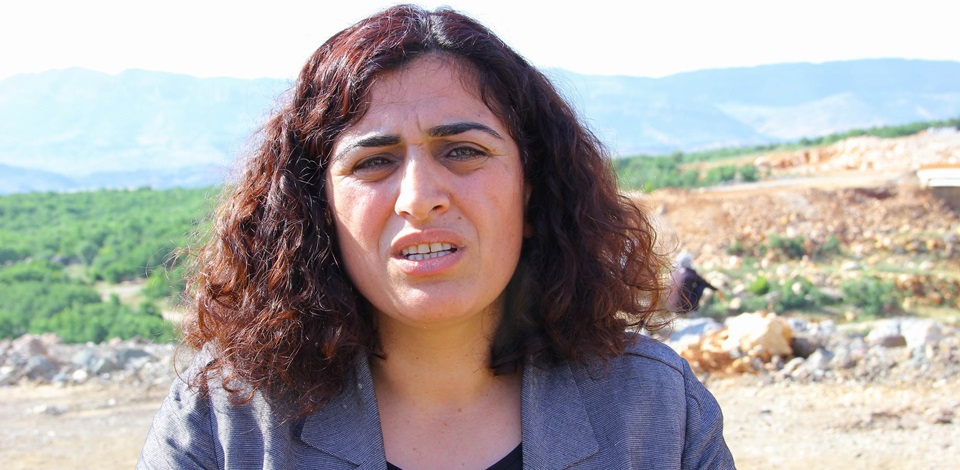 HDP Eş Genel Başkanı Tuncel: Çözüm çalıştayı yapan hükümet Lice katliamına göz yumdu